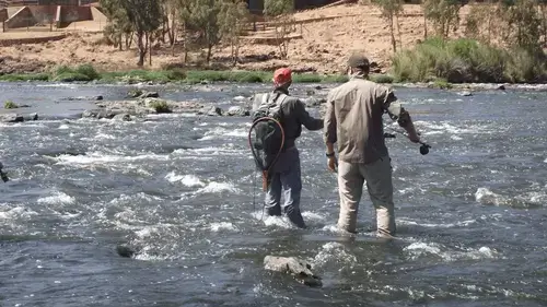 Riffle, glide and pool zones showing how water type changes stealth and presentation