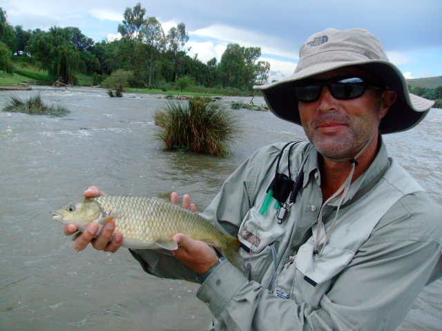 Vaal River Yellowfish frequently asked questions