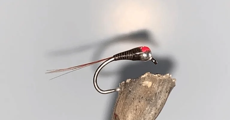 Perdigon nymph for Yellowfish